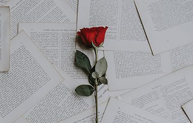 Eine rote Rose auf bedruckten Papierseiten