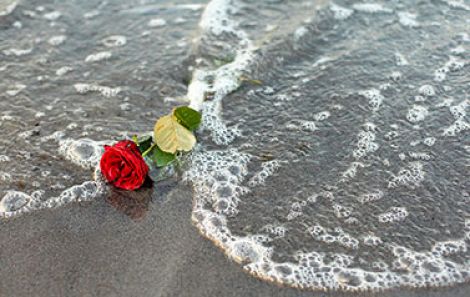 Eine rote Rose am Strand als Darstellung für eine Seebestattung