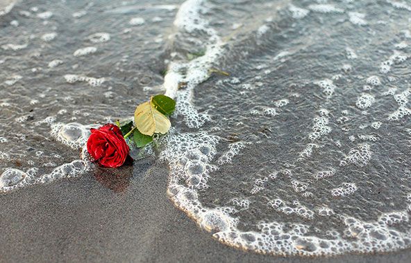 Eine rote Rose am Strand als Synonym für eine Seebestattung